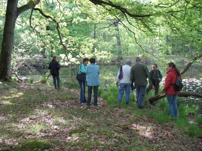 2006 05 Bonne mare 10